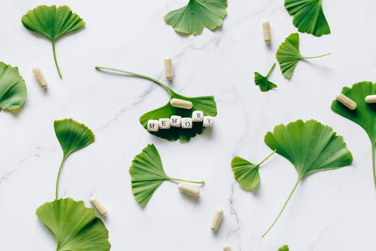 Understanding the Benefits of Alzheimer Supplements on Memory